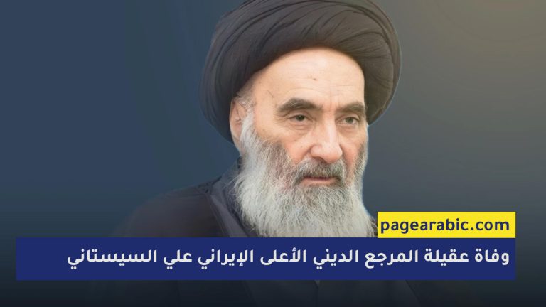 السيد علي السيستاني