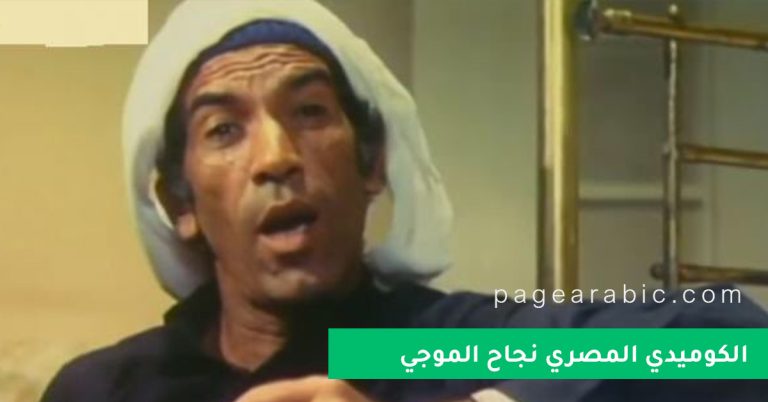 نجاح الموجي