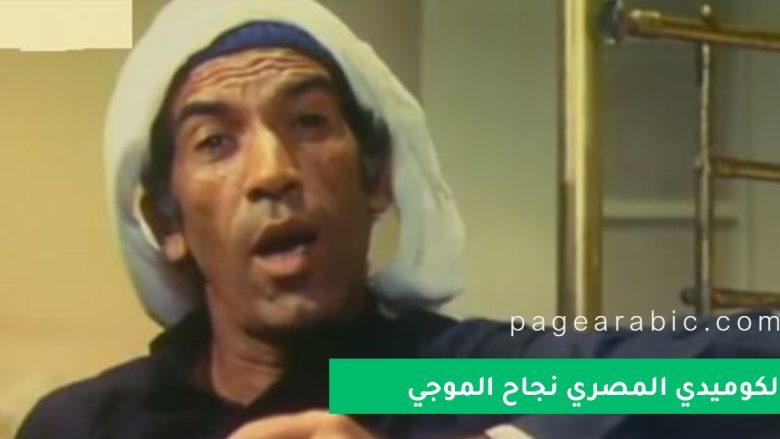 نجاح الموجي