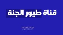 تردد قناة طيور الجنة الجديد 2025