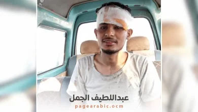 عبداللطيف الجمل