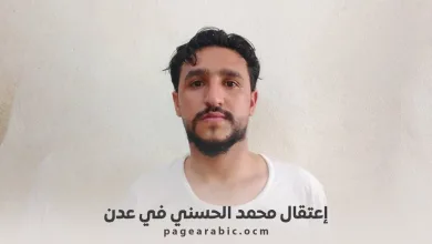 محمد الحسني