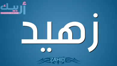 معنى كلمة زهيد