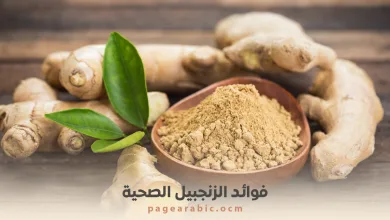فوائد الزنجبيل الصحية