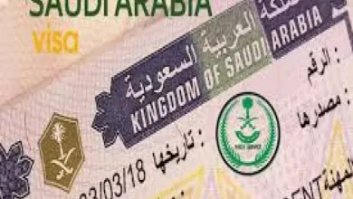 2025-04-15-1744743723-800×600-1